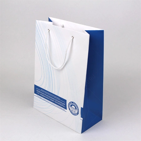 Бумажный пакет офсетный А3 вертикальный с логотипом для профсоюзной организации картинка 1