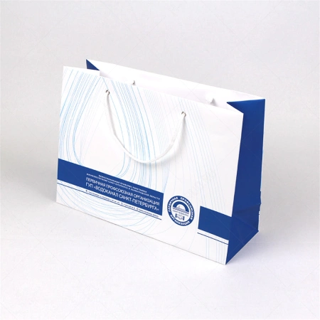 Бумажный пакет офсетный А3 горизонтальный с логотипом для профсоюзной организации картинка 1