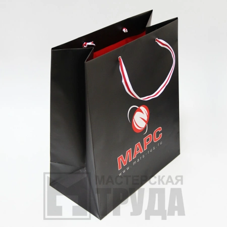 Бумажный пакет с полноцветной печатью логотипа с двухцветной лентой-ручкой