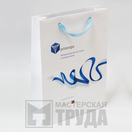 Бумажный пакет А4 с полноцветной печатью логотипа и узкой лентой-ручкой