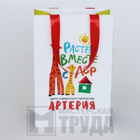 Бумажный пакет А5 с полноцветной печатью